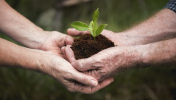 Resources for Applying Eco-Friendly Practices in Your Finances